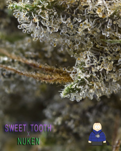 3.  Sweet Tooth x Nuken - Escarpment Wellness