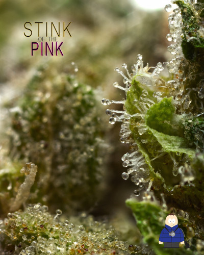 14. Stink of the Pink - Honest Springs Wellness