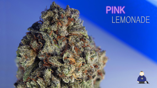 6. Pink Lemonade -Escarpment Wellness